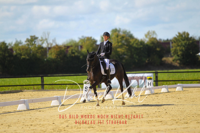 DKP45447 | Turniersportfotografie; Pferdefotografie; Dressurfotografie