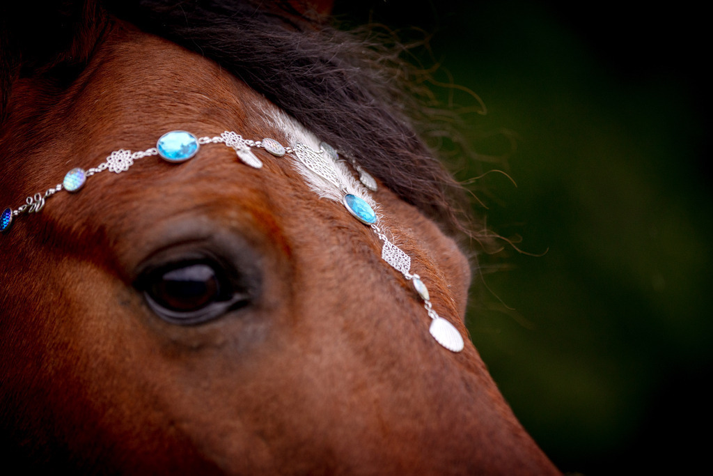 846A0558 | fotosleben - Realisiert mit Pictrs.com