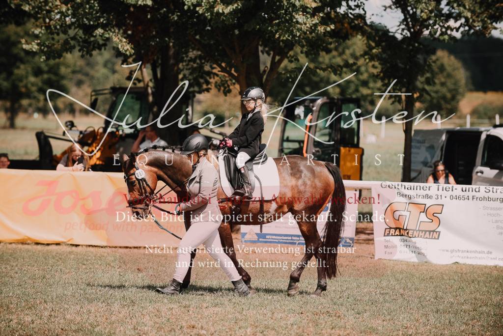 DSC_5973 | Pferde- und Turnierfotografie in Westsachsen. Pferdeportraits, Auftragszeichnungen und intuitive Kunst.