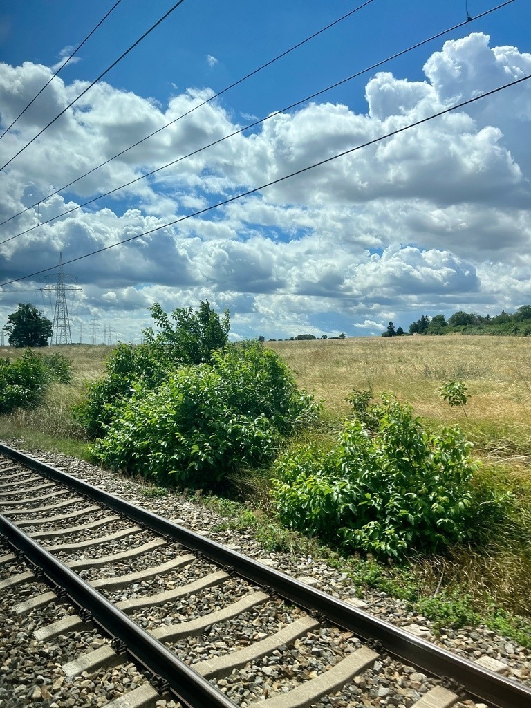 IMG_7979 | ace - Realisiert mit Pictrs.com