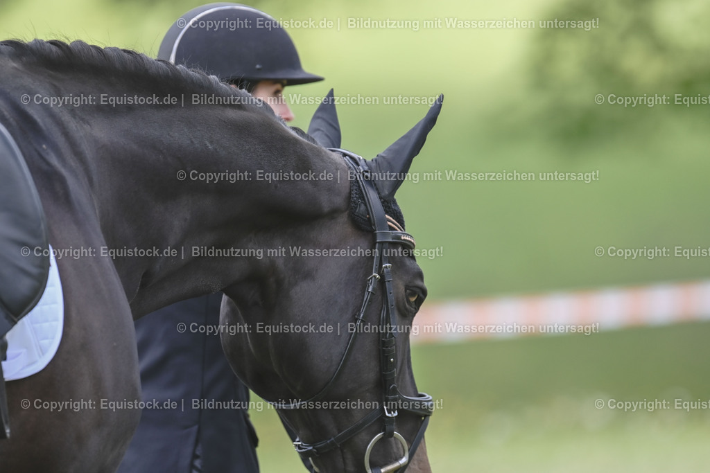 20250516_Impressionen_0076 | Foto: Thomas Hartig