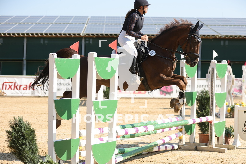 0P6A5397 | Willkommen bei Brunnmayr - Design & Fotografie – Ihrem Spezialisten für Reitturniere und Pferdeveranstaltungen in Oberösterreich, Salzburg und Bayern! Seit über 17 Jahren sind wir leidenschaftlich dabei.