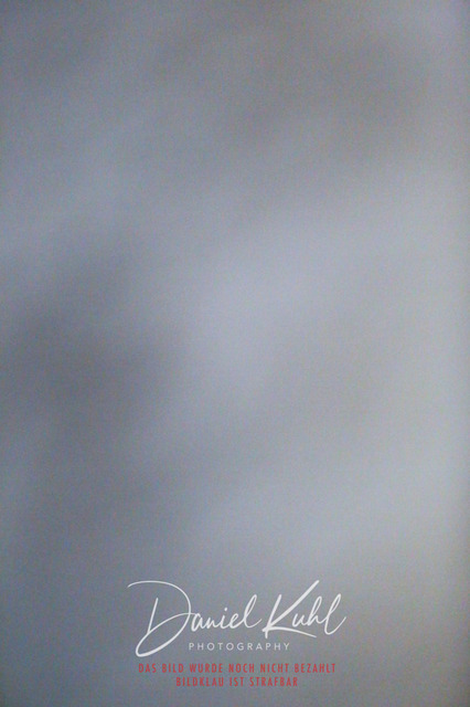 IMG_8318 | Turniersportfotografie; Pferdefotografie; Dressurfotografie