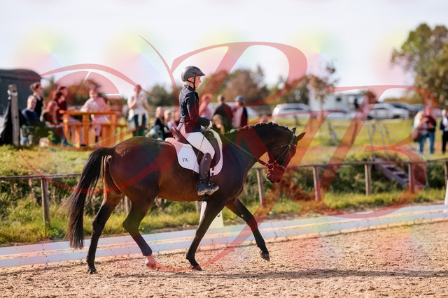 2026_10_03_Siefer-Hof_133823_Z81_95831724 | Professionelle Reitsport-, Turnier- und Eventfotografie von Robert Broda. Galerien mit ausgewählten und bearbeiteten Bildern direkt online ansehen und bestellen.