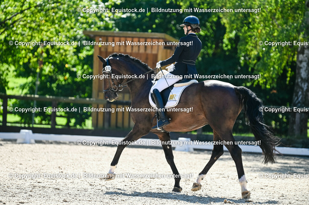 20230908_06_Dressur-L-Trense_0650 | equistock