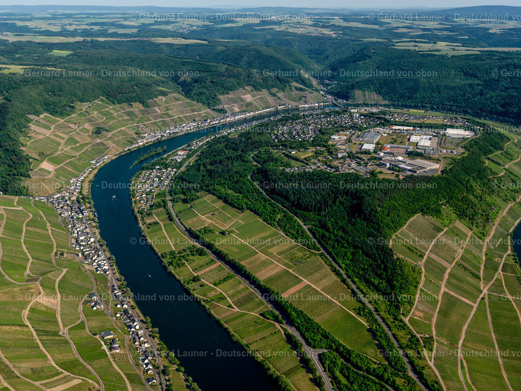 3114382 | Weingebiete an den Hängen der Mosel bei Zell
