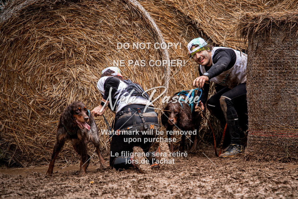 nelerasche_Hunsrück_So09-11_57 | nelerasche