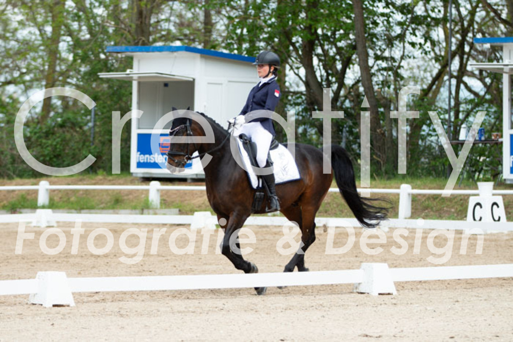 IMG_5304 | Creatify Fotografie