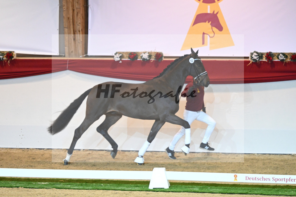 Kat-Nr. 42 De Beau_Schult_1230110 | hf-fotografie - Realisiert mit Pictrs.com
