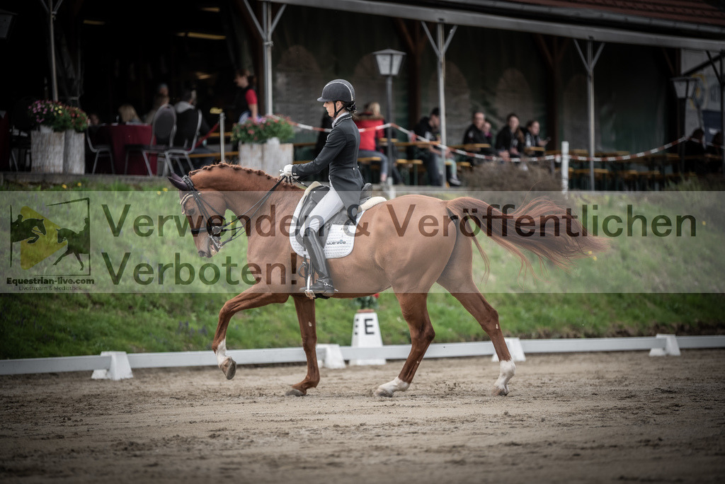 DSC_3082 | equestrian-live-com
