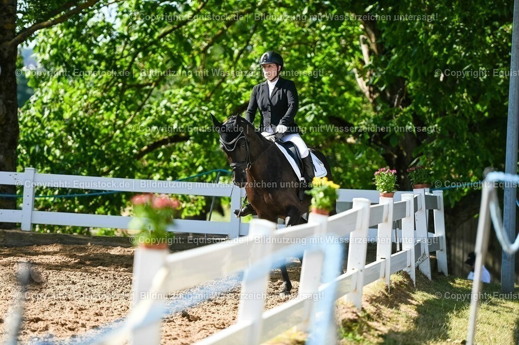 20230715_06_Dressurpferdeprfg. Kl.A_0337 | equistock