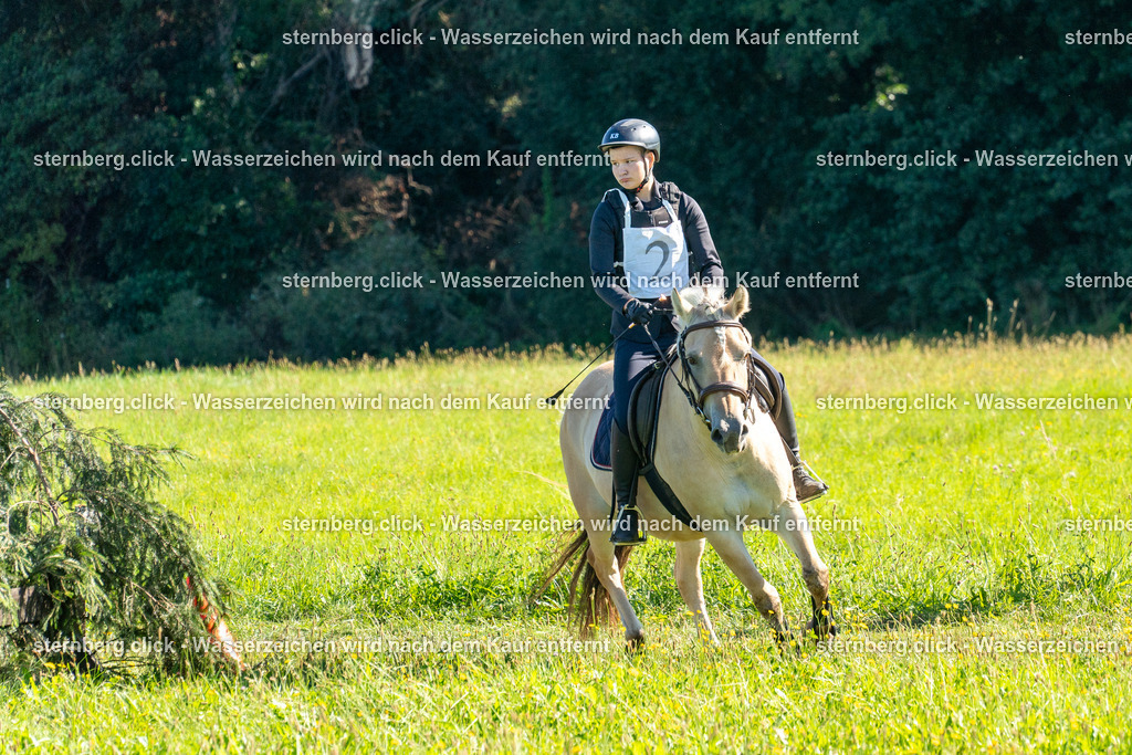 2026-08-08_08-34-27_WBO_Pulsnitz | sternberg.click - Realisiert mit Pictrs.com