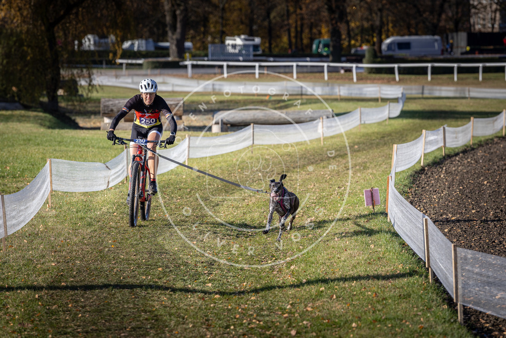 CaniXpix_DV3A4533 | Hundefotografie, Tierfotograf, Pfotenfotografie, Fotoshooting Hund, Hunde Portrait, Hundesport, Hundeportraits, Heideshooting, Hunde, Sportfotograf, Hundefotograf, Turnierhundsport, THS,  - Realisiert mit Pictrs.com