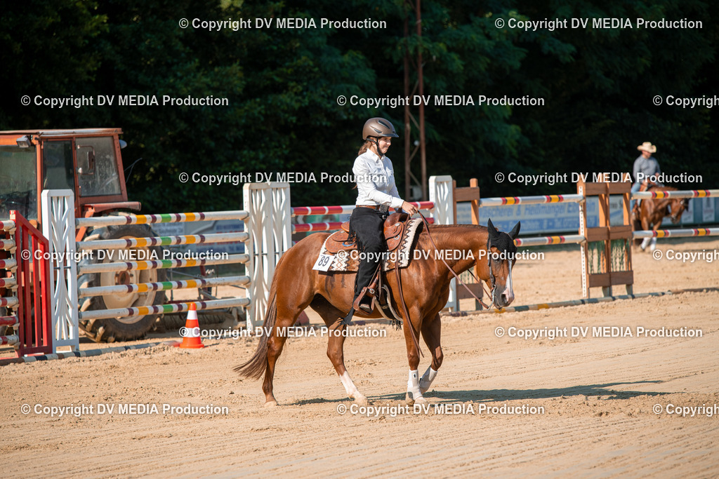 ZS2_8820 | dv-media-shop - Realisiert mit Pictrs.com