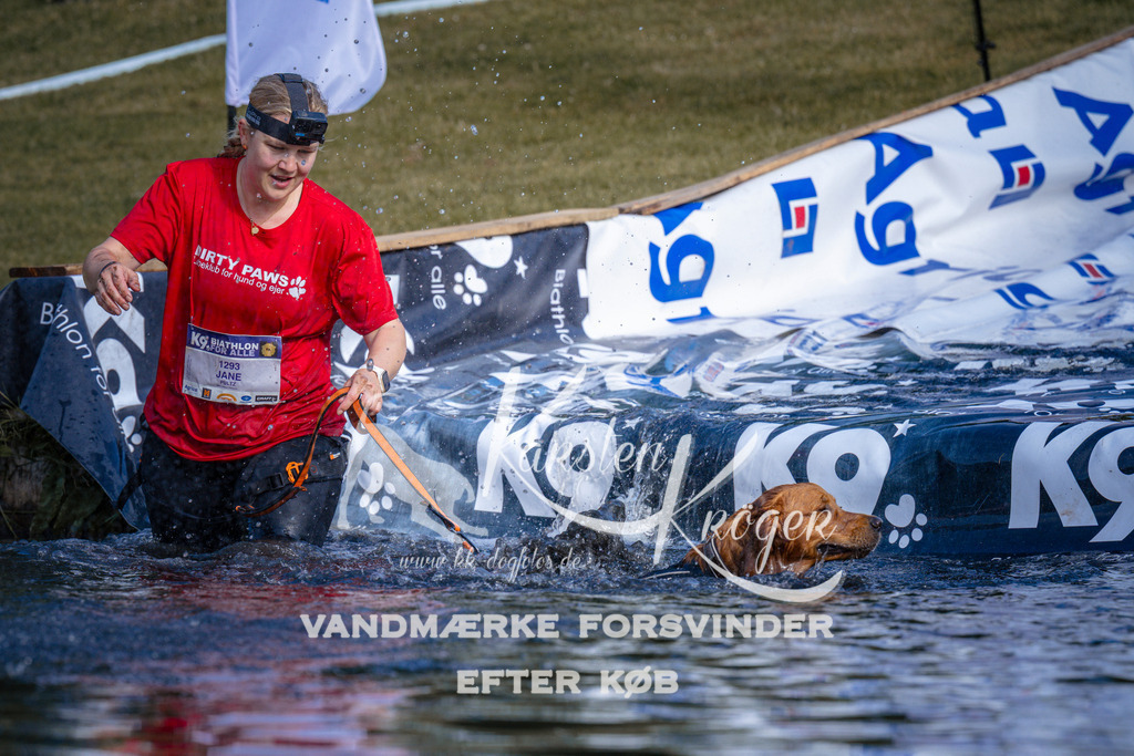 _ZZ963170733 | kk-dogfotos