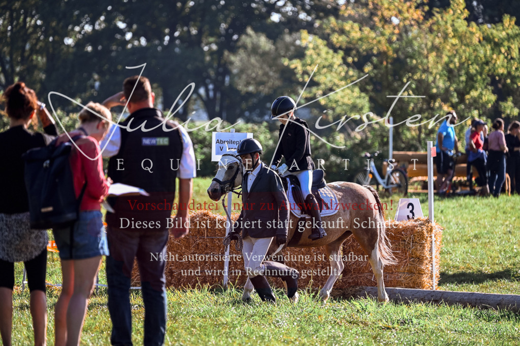 DSC_0329 | Pferde- und Turnierfotografie in Westsachsen. Pferdeportraits, Auftragszeichnungen und intuitive Kunst.