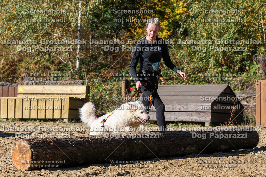 Dog Paparazzi - Strongdog 10-25-2364 | Dog Paparazzi Jeanette Grottendiek Fotografie & Videografie - Realisiert mit Pictrs.com