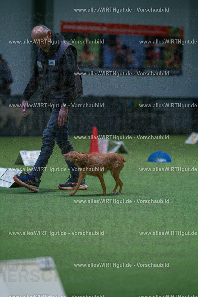 7R502601 | Professionelle Tierfotografie in Mönchengladbach von Daniel Wirth (allesWIRTHgut). Liebevolle & natürliche Bilder von Hunden & Katzen für unvergessliche Erinnerungen.