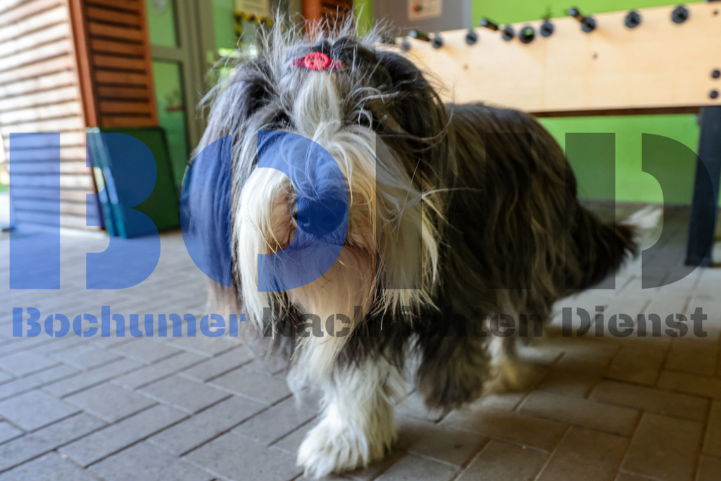 SES_BOCFER20250612-8 | bond - Realisiert mit Pictrs.com