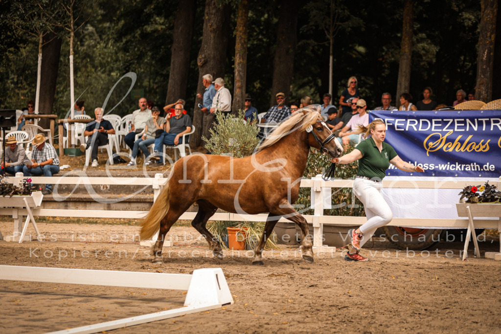 5.Sa00008 | Leoni Ertmer Photography - Realisiert mit Pictrs.com