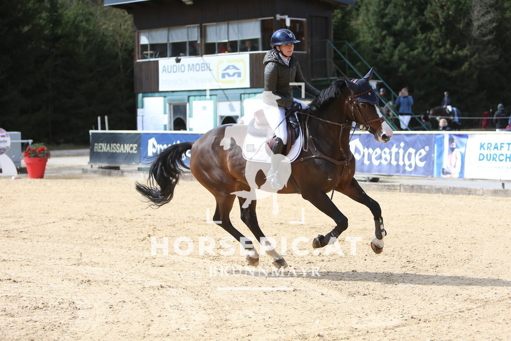 DL2Q9427 | Willkommen bei Brunnmayr - Design & Fotografie – Ihrem Spezialisten für Reitturniere und Pferdeveranstaltungen in Oberösterreich, Salzburg und Bayern! Seit über 17 Jahren sind wir leidenschaftlich dabei.