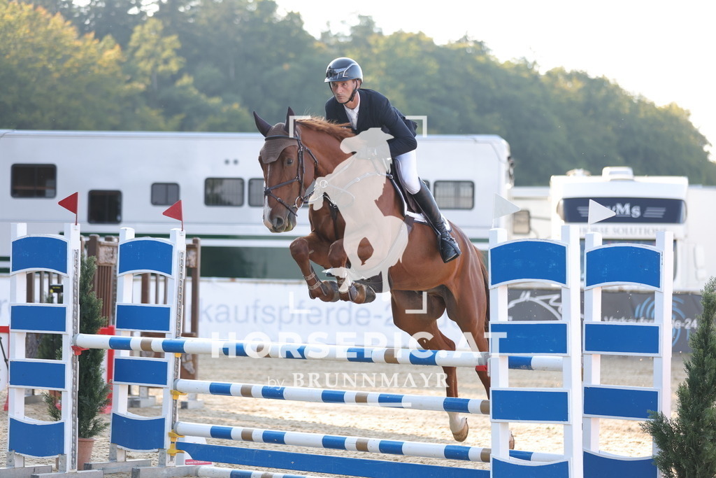 0P6A3865 | Willkommen bei Brunnmayr - Design & Fotografie – Ihrem Spezialisten für Reitturniere und Pferdeveranstaltungen in Oberösterreich, Salzburg und Bayern! Seit über 17 Jahren sind wir leidenschaftlich dabei.