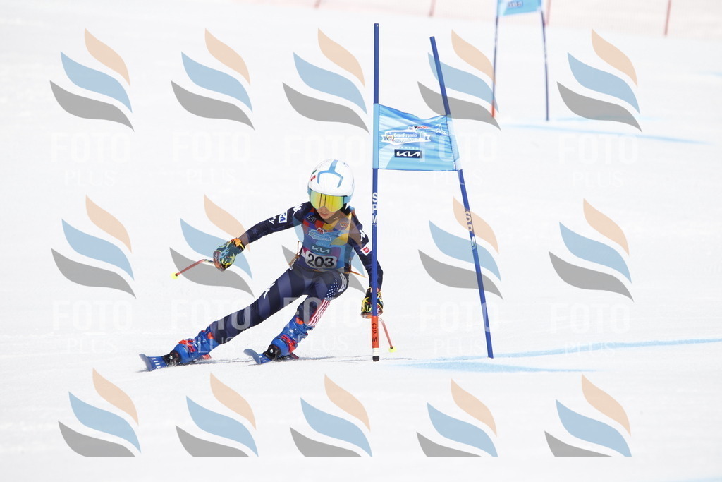 _U3G5269 | holidayphoto