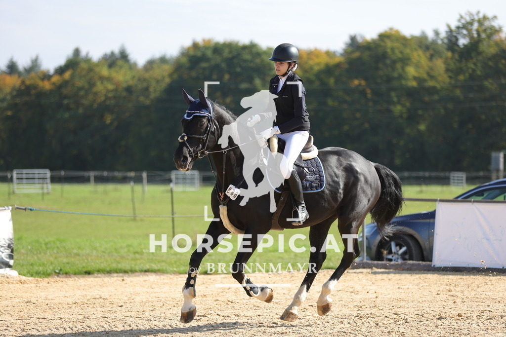 0P6A8044 | Willkommen bei Brunnmayr - Design & Fotografie – Ihrem Spezialisten für Reitturniere und Pferdeveranstaltungen in Oberösterreich, Salzburg und Bayern! Seit über 17 Jahren sind wir leidenschaftlich dabei.