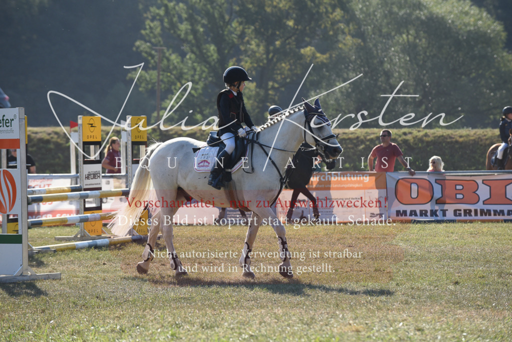 DSC_5709 | Pferde- und Turnierfotografie in Westsachsen. Pferdeportraits, Auftragszeichnungen und intuitive Kunst.