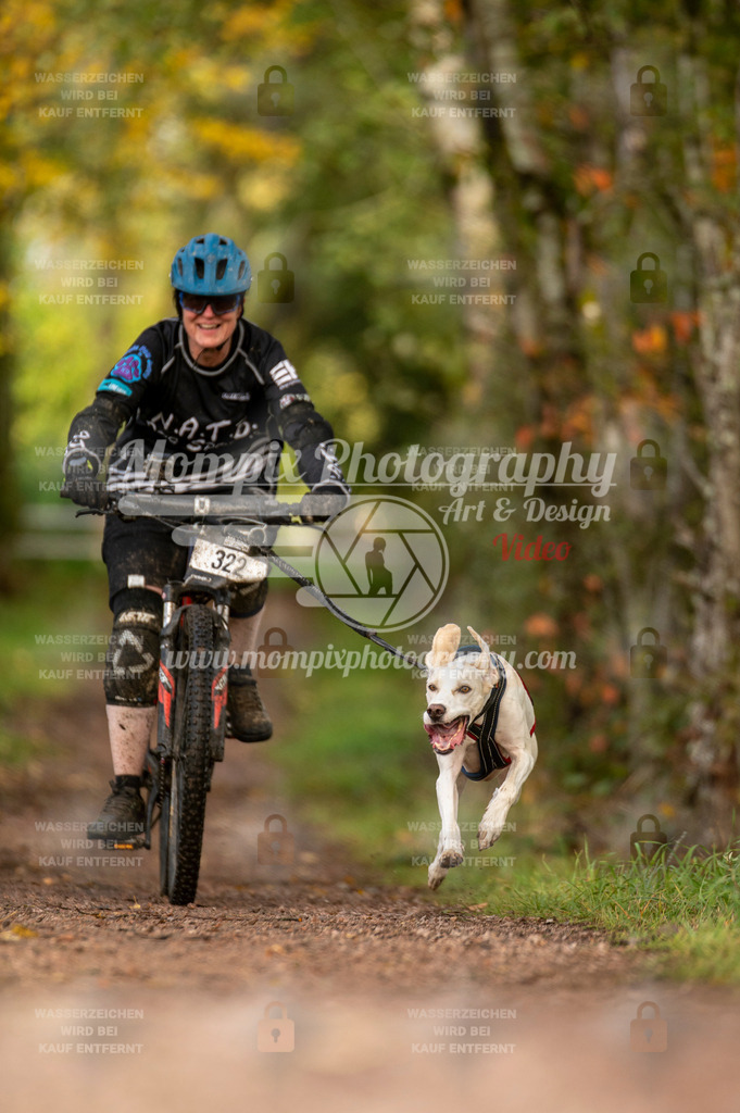 TSB_2023_E4_Bike-52 | PayLife