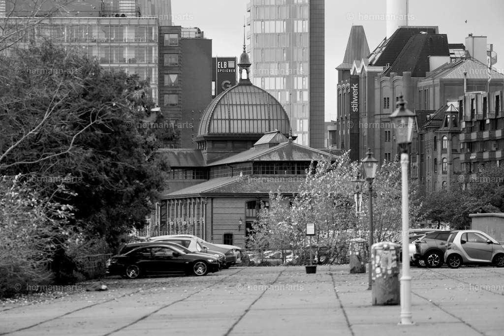 Hamurg_Arts-032 | Photo Foto Kunst Art schwarzweiss Bilder Rheine Münster Berlin Blumen 