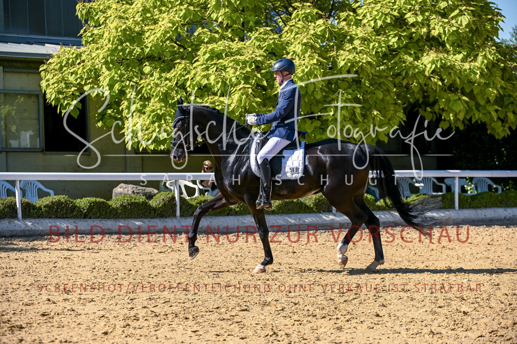 Schugtsche-Aluta25-50.Dressurpferdeprf.L-239 | Schugtsche Fotografie - Realisiert mit Pictrs.com