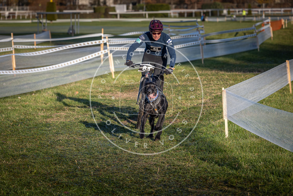 CaniXpix_0L8A3760 | Hundefotografie, Tierfotograf, Pfotenfotografie, Fotoshooting Hund, Hunde Portrait, Hundesport, Hundeportraits, Heideshooting, Hunde, Sportfotograf, Hundefotograf, Turnierhundsport, THS,  - Realisiert mit Pictrs.com