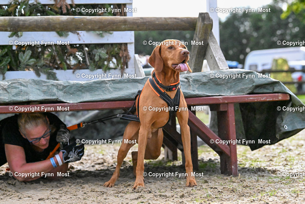 DSC_6657 | Hallo und herzlich Willkommen auf meiner Shop-Seite Fynn Most.

Ich wünsche Dir viel Spaß beim stöbern durch die Bilder, wenn Du Fragen hast oder Bilder vermisst, kannst du mir gerne eine Nachricht schreiben. - Realisiert mit Pictrs.com