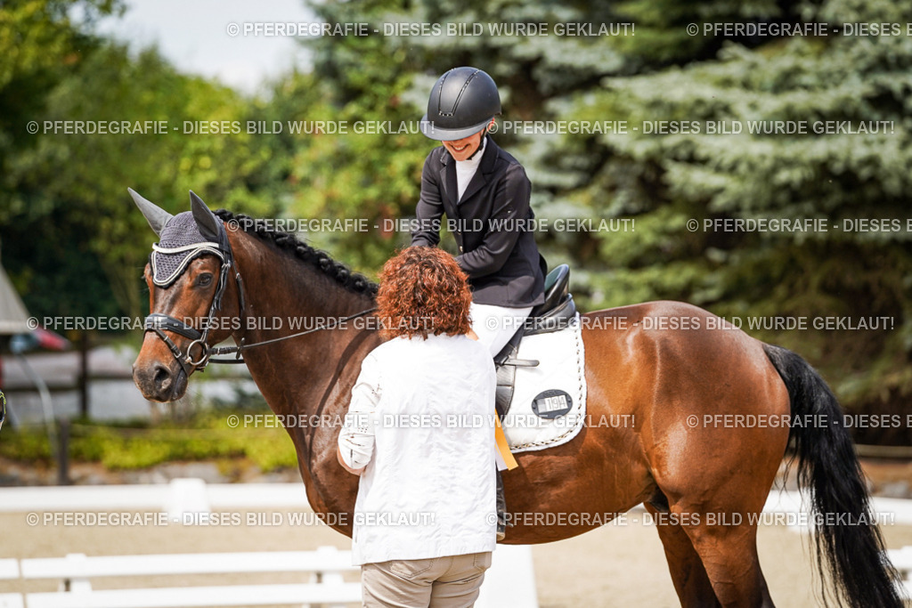 DSC04503 | Pferdegrafie