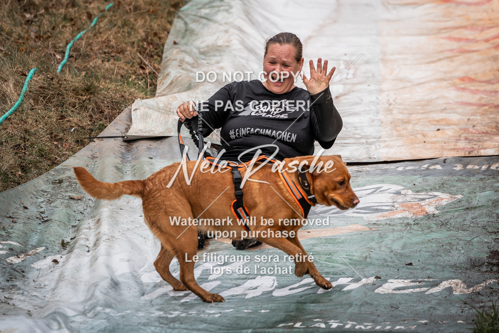 nelerasche_1330-1400_66 | nelerasche