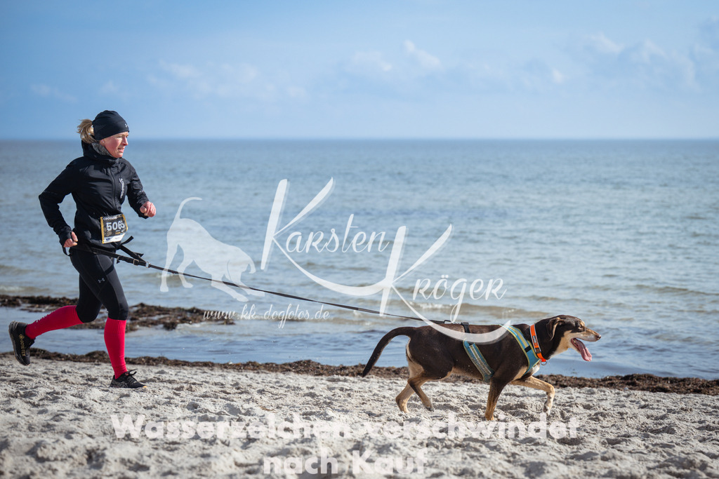 1245_ZZ98435 | kk-dogfotos