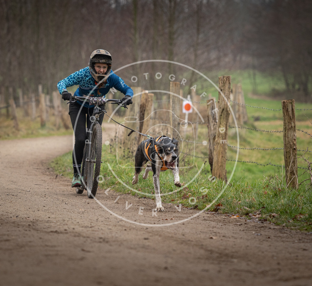 Pfotenfotografie_DV3A2266 | Hundefotografie, Tierfotograf, Pfotenfotografie, Fotoshooting Hund, Hunde Portrait, Hundesport, Hundeportraits, Heideshooting, Hunde, Sportfotograf, Hundefotograf, Turnierhundsport, THS,  - Realisiert mit Pictrs.com
