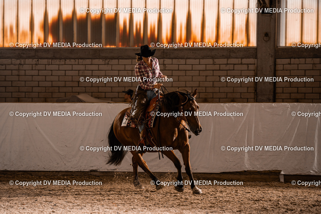 ZH300313 | dv-media-shop - Realisiert mit Pictrs.com