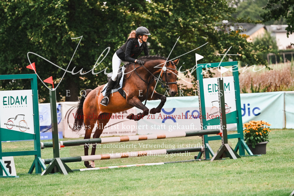 DSC_5866 | Pferde- und Turnierfotografie in Westsachsen. Pferdeportraits, Auftragszeichnungen und intuitive Kunst.