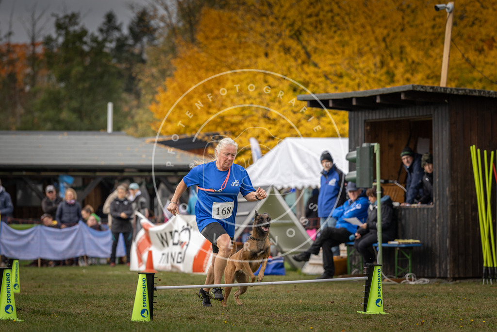 Pfotenfotografie_DV3A5584 | Hundefotografie, Tierfotograf, Pfotenfotografie, Fotoshooting Hund, Hunde Portrait, Hundesport, Hundeportraits, Heideshooting, Hunde, Sportfotograf, Hundefotograf, Turnierhundsport, THS,  - Realisiert mit Pictrs.com