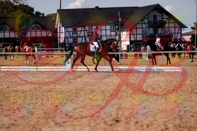 2026_10_03_Siefer-Hof_125815_Z81_47966937 | Professionelle Reitsport-, Turnier- und Eventfotografie von Robert Broda. Galerien mit ausgewählten und bearbeiteten Bildern direkt online ansehen und bestellen.