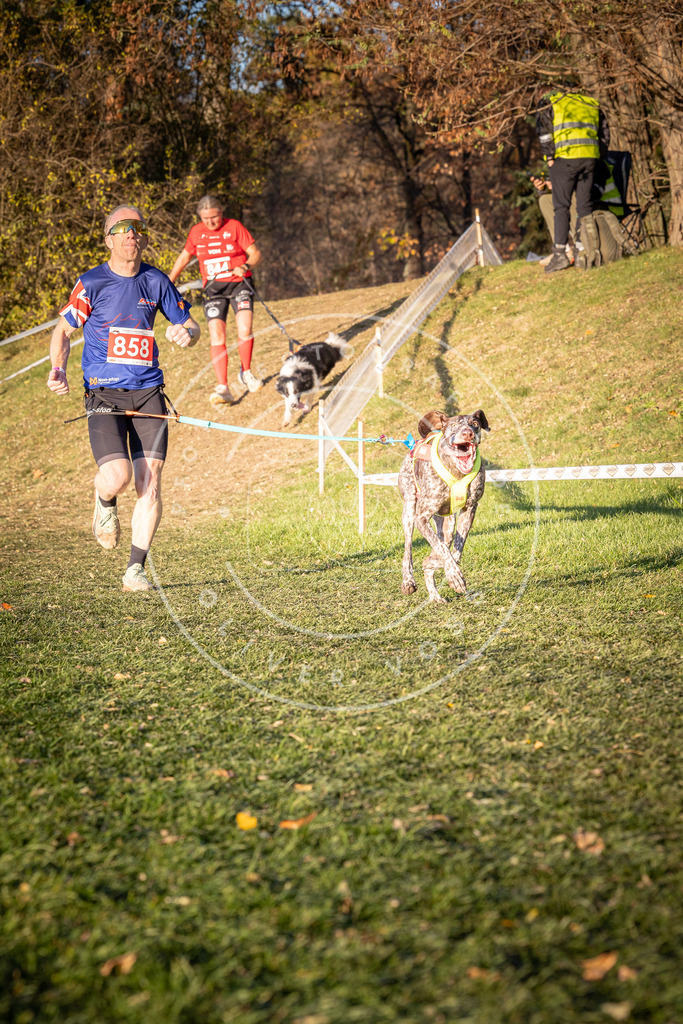 CaniXpix_0L8A0922 | Hundefotografie, Tierfotograf, Pfotenfotografie, Fotoshooting Hund, Hunde Portrait, Hundesport, Hundeportraits, Heideshooting, Hunde, Sportfotograf, Hundefotograf, Turnierhundsport, THS,  - Realisiert mit Pictrs.com