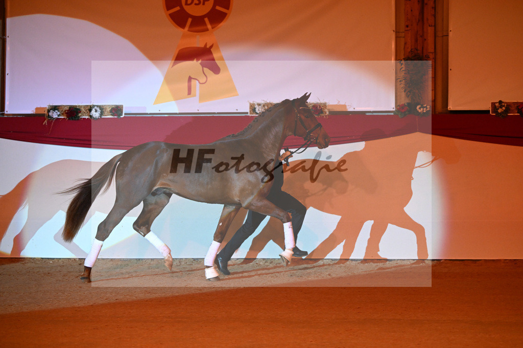 Valenziano_1234017 | hf-fotografie - Realisiert mit Pictrs.com