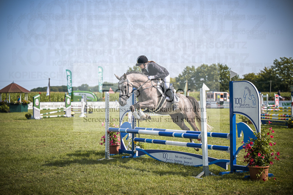 DOS_3356 | Entdecke hochwertige Reitturnierfotos von Foto Oger. Professionell, emotional und authentisch – jetzt Lieblingsmomente im Shop bestellen.Deutschlandweite Turnierfotografie. - Realisiert mit Pictrs.com