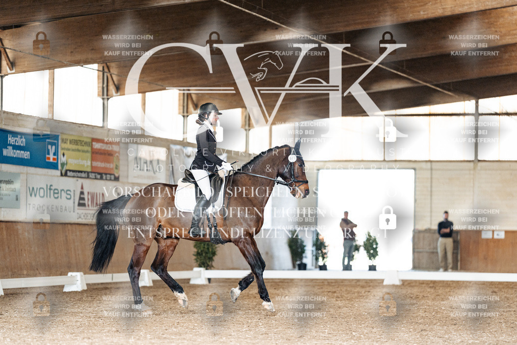 CK901937 | Turnierfotografie Pferdefotografie Trier Rheinland-Pfalz Pferdesport Reitsport Tierfotografie Sportfotografie Pferdevideo Pferdevideografie Equestrianvideography equestrianphotography  - Realisiert mit Pictrs.com