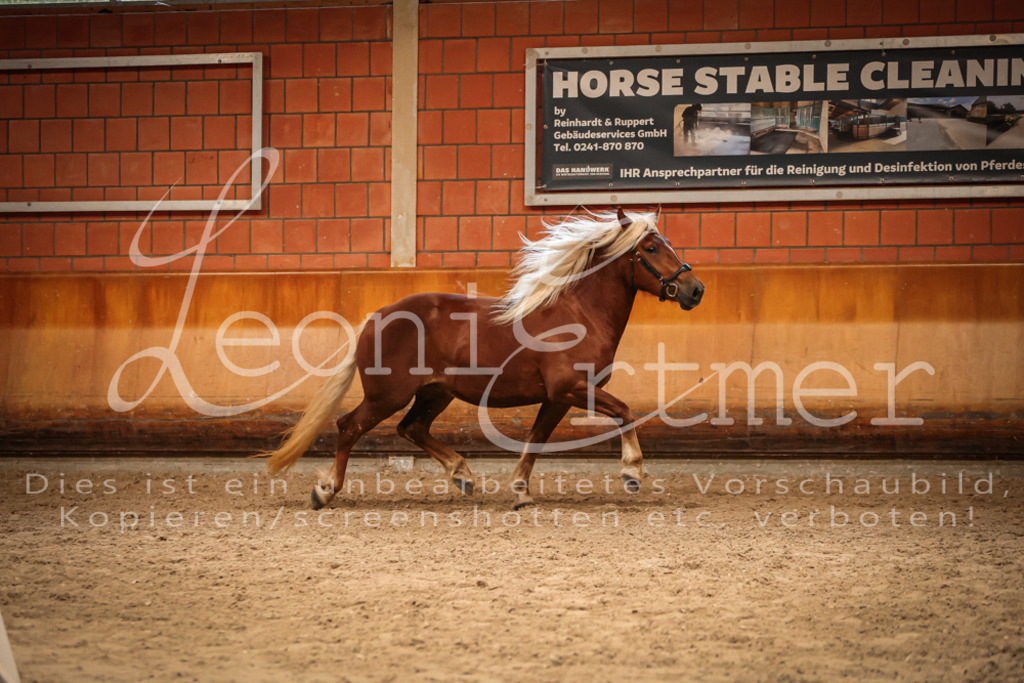 SaFL00497 | Leoni Ertmer Photography - Realisiert mit Pictrs.com