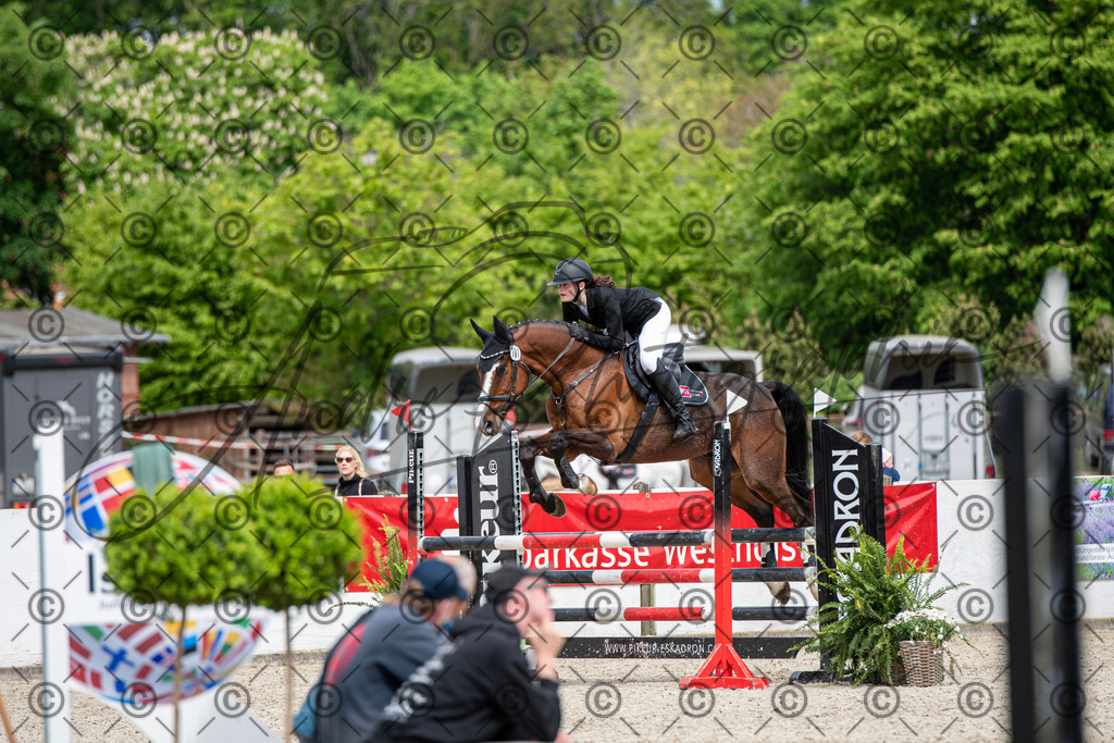 KPT_5525 | andre_photographic