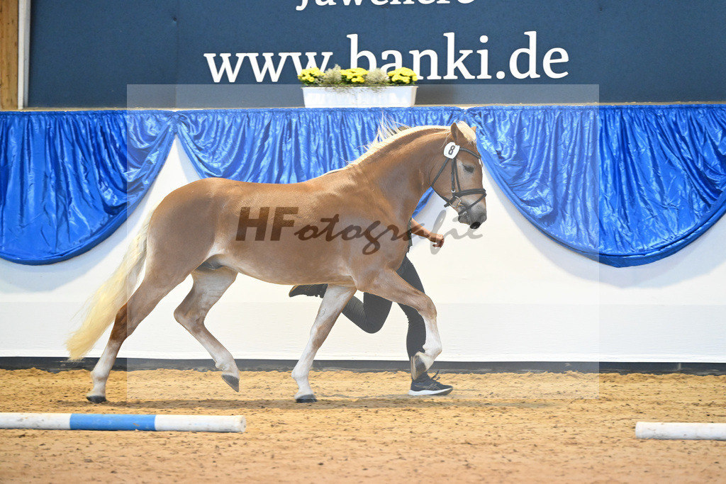 Kat-Nr. 8 Bendix v. Bugatti_Meier_60220667 | hf-fotografie - Realisiert mit Pictrs.com