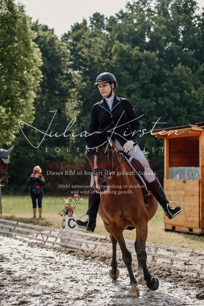 DSC_9009 | Pferde- und Turnierfotografie in Westsachsen. Pferdeportraits, Auftragszeichnungen und intuitive Kunst.